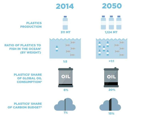 Peningkatan Jumlah Plastik Akan Berdampak Buruk Bagi Laut, Hewan dan Manusia Pada 2050