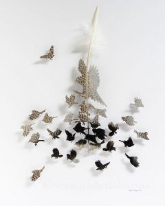 Bermodalkan Bulu Burung, Seniman Ini Ciptakan Karya Seni Menarik