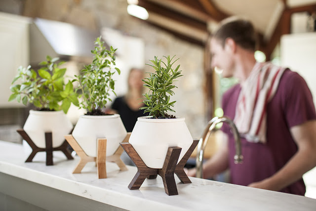 Lander Planter, Pot Untuk Tanaman Bertanah Basah